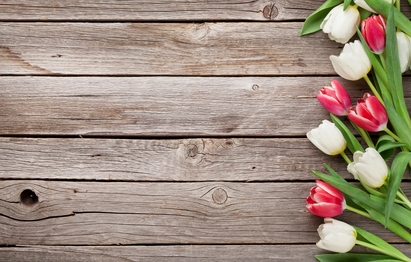Photo wallpaper flowers, bouquet, tulips, red, white, wood, flowers, tulips