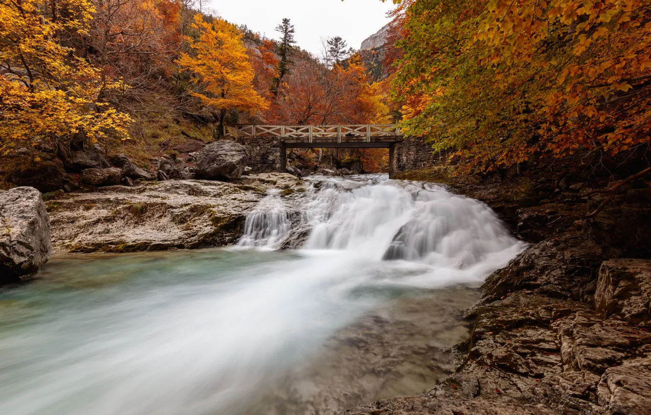 Photo wallpaper autumn, trees, bridge, river, Spain, cascade, Spain, Ordesa and Monte Perdido National Park
