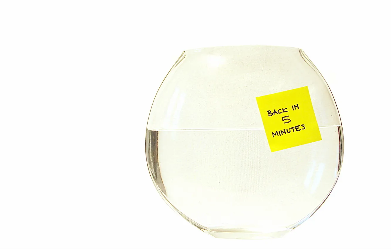 Photo wallpaper fish, aquarium, LEFT