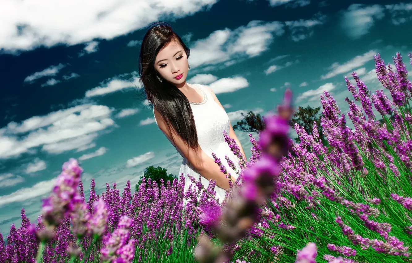Photo wallpaper summer, girl, flowers