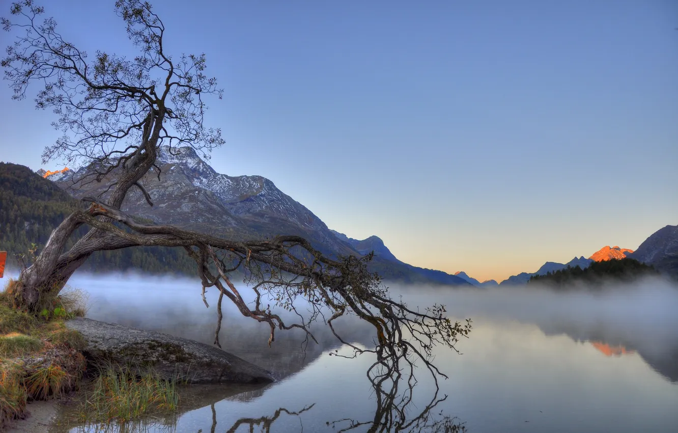 Photo wallpaper trees, mountains, fog, lake