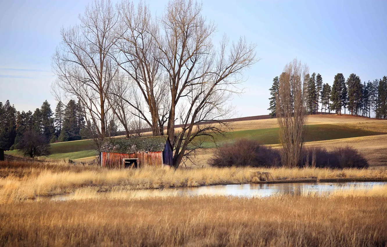 Photo wallpaper lake, countryside, ducks, hut