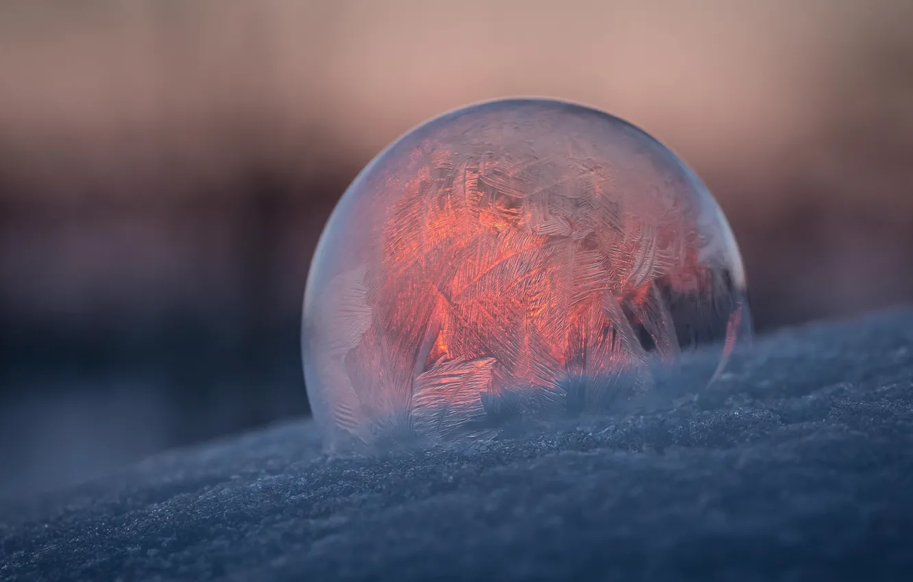 Photo wallpaper pattern, ball, frost, bubble