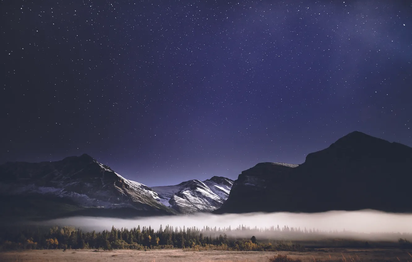 Photo wallpaper forest, the sky, stars, mountains, night, fog