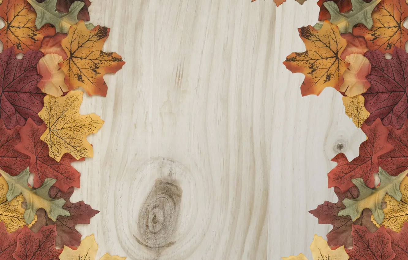 Photo wallpaper autumn, leaves, trees, background, colorful, wood, background, autumn