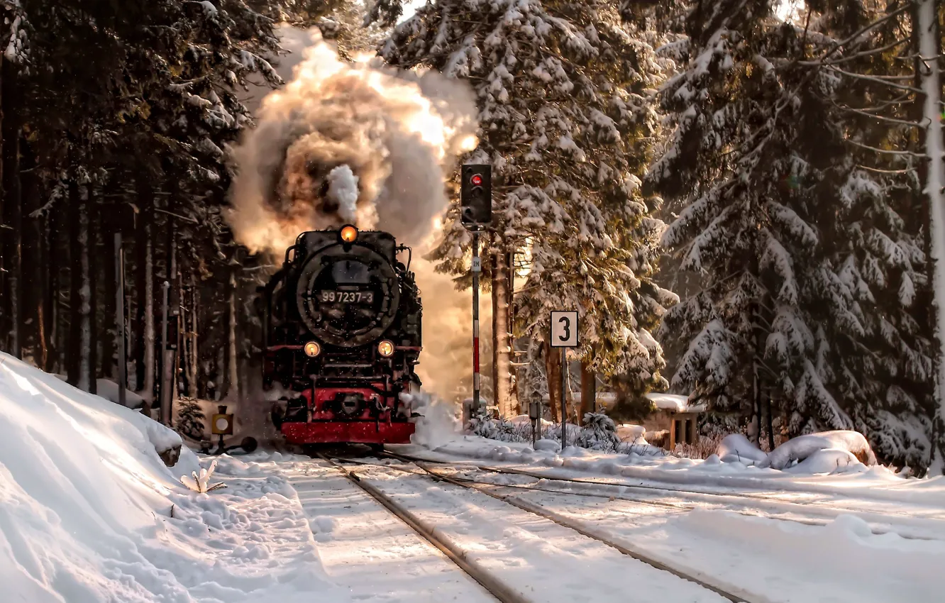 Photo wallpaper winter, forest, snow, the engine