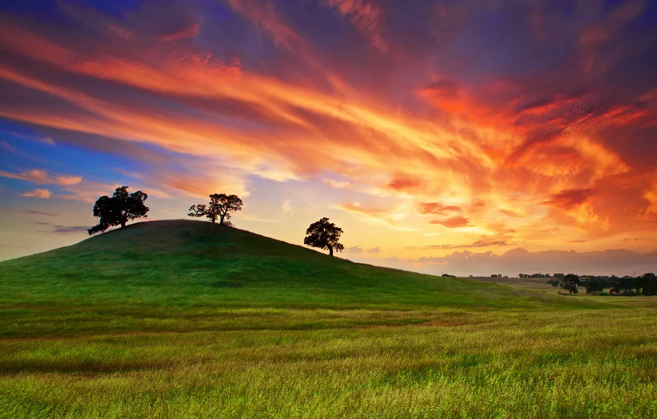 Photo wallpaper field, the sky, grass, clouds, trees, sunset, spring, CA