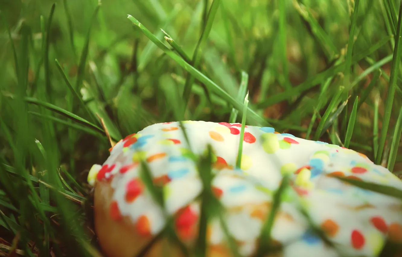 Photo wallpaper grass, food, donuts