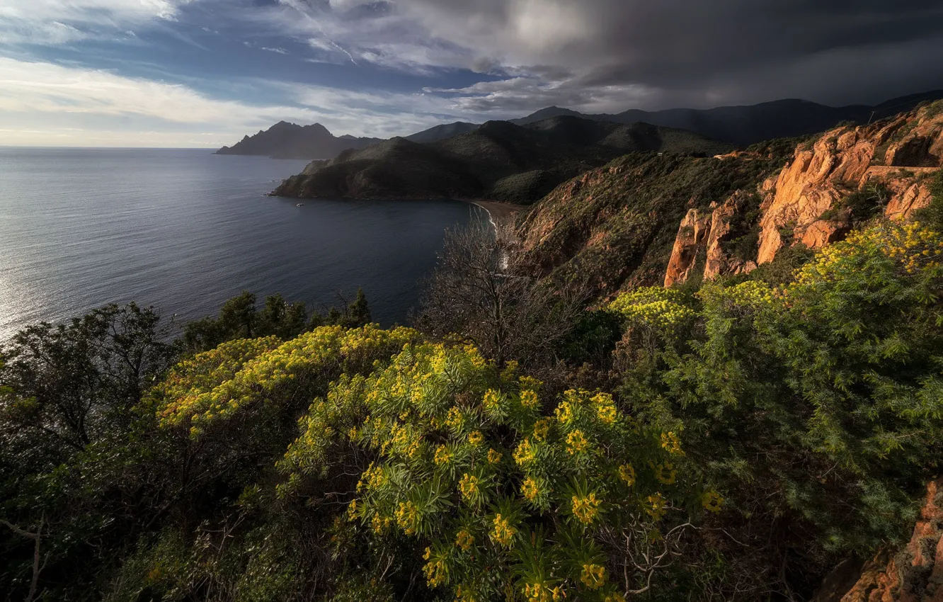 Photo wallpaper mountains, shore, vegetation, pond