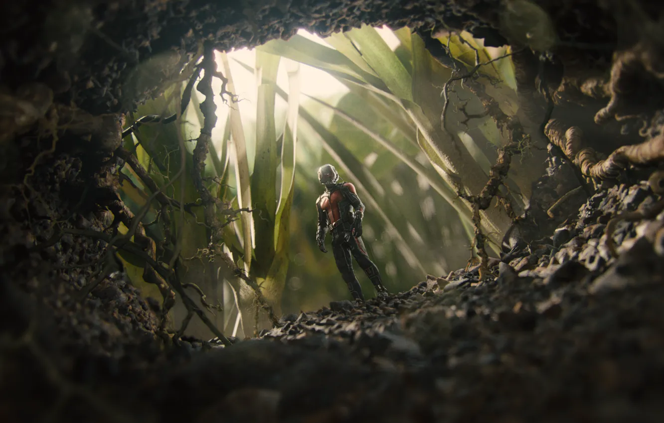 Photo wallpaper costume, superhero, entrance, comic, Marvel, St., Ant-man, Ant-Man