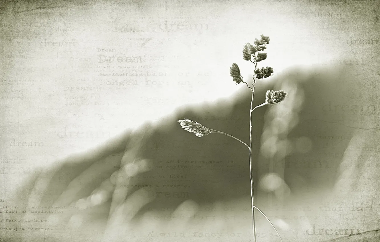 Photo wallpaper grass, style, background