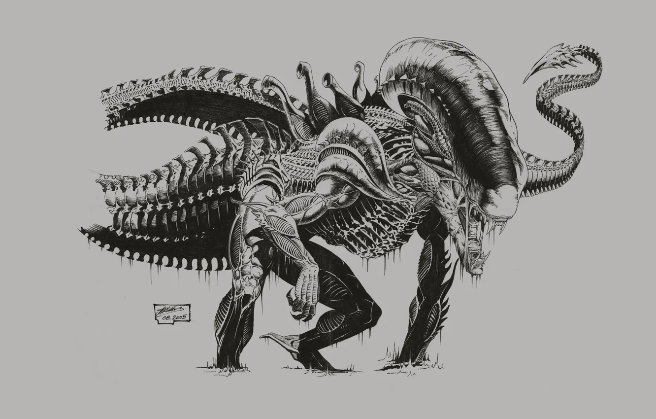 Photo wallpaper monster, being, Stranger