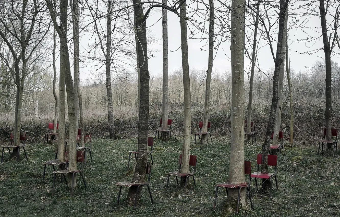 Photo wallpaper trees, nature, chairs