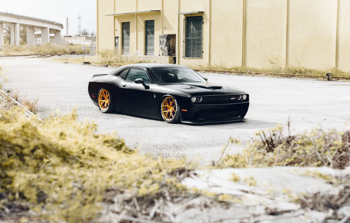 Photo wallpaper Dodge, Black, Hellcat, Wheels, Rohana, Challanger, RFX5