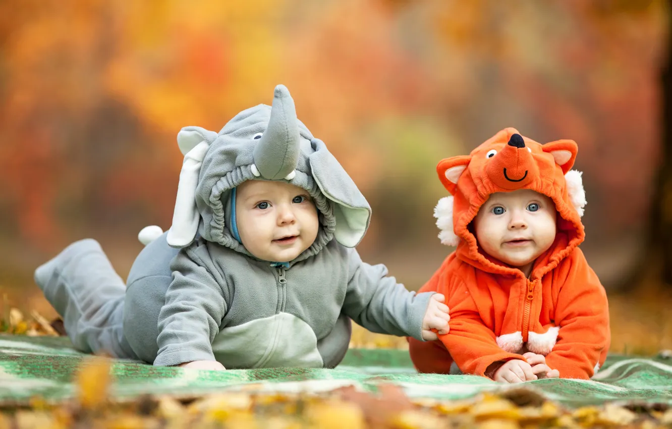Photo wallpaper autumn, look, children, costume, kids, child, Foxes, Elephants