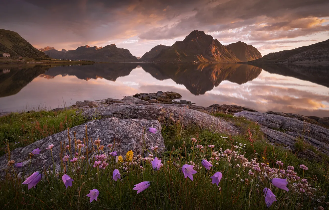 Photo wallpaper flowers, mountains, reflection, stones, rocks, shore, bells, pond