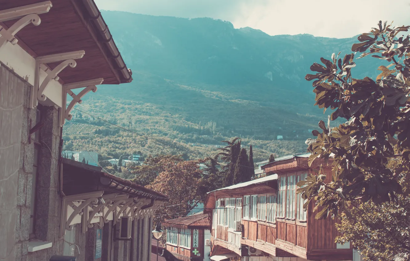 Photo wallpaper trees, mountains, the city, Crimea, street, Gurzuf