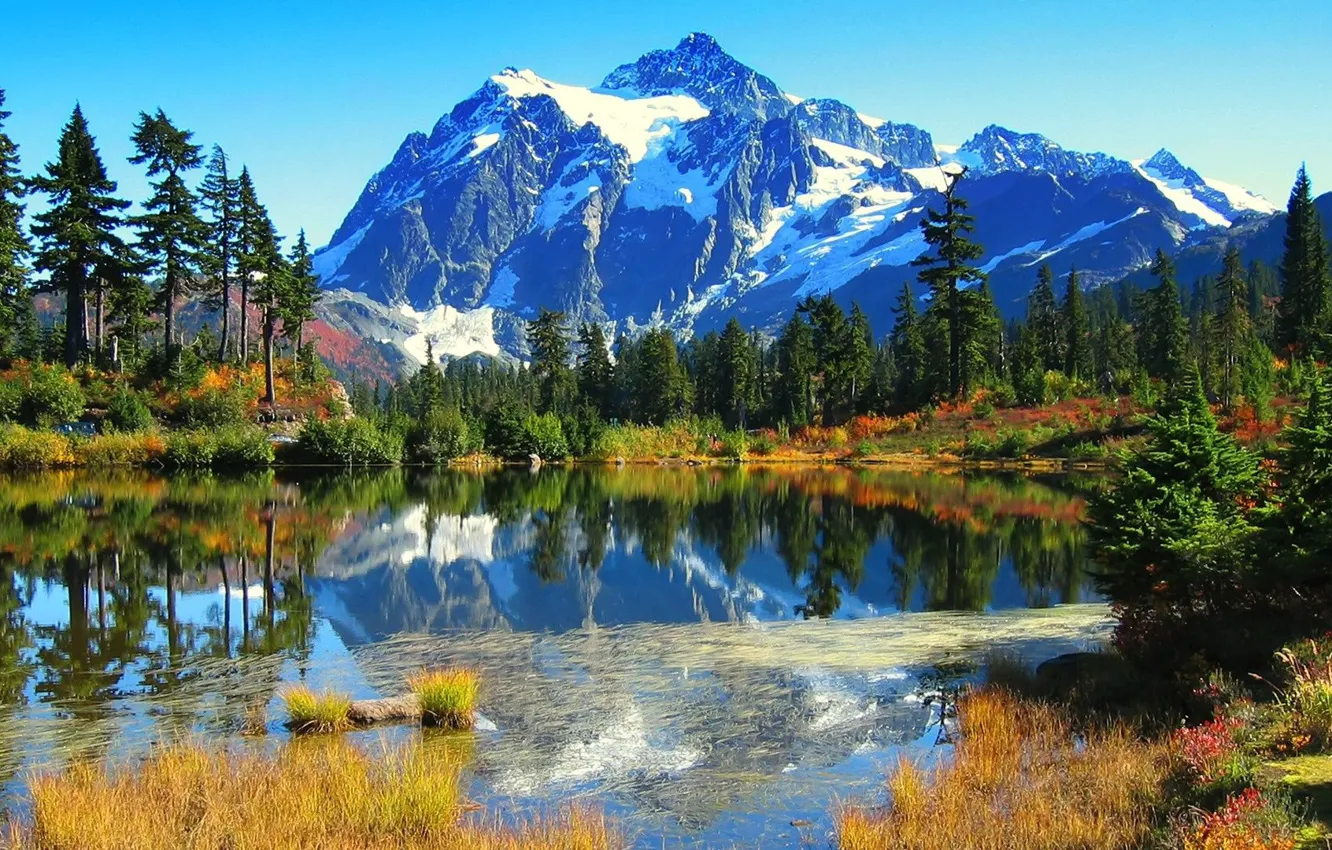 Photo wallpaper forest, the sky, grass, trees, mountains, nature, lake, photo