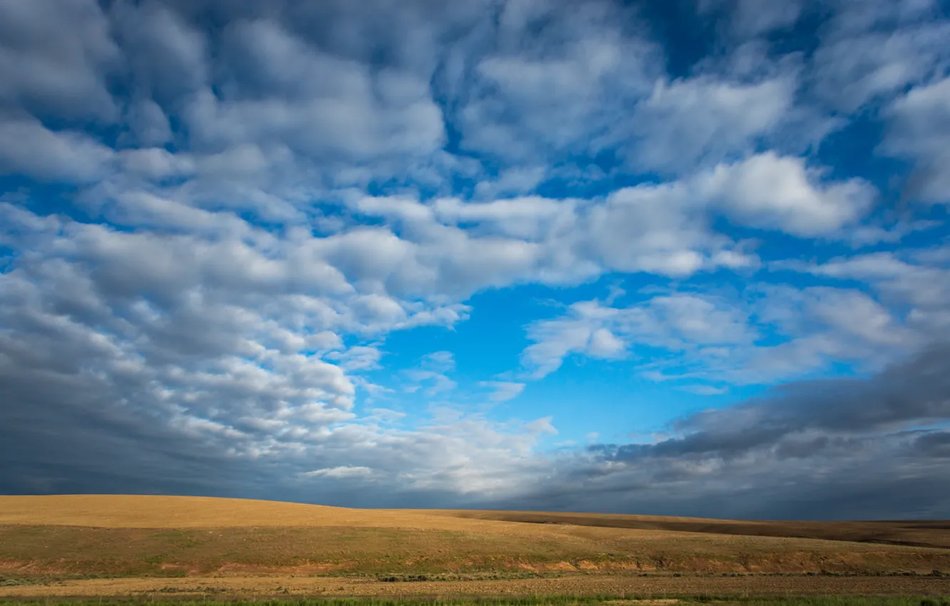 Photo wallpaper field, clouds, blue, The sky, sky, field, blue, clouds