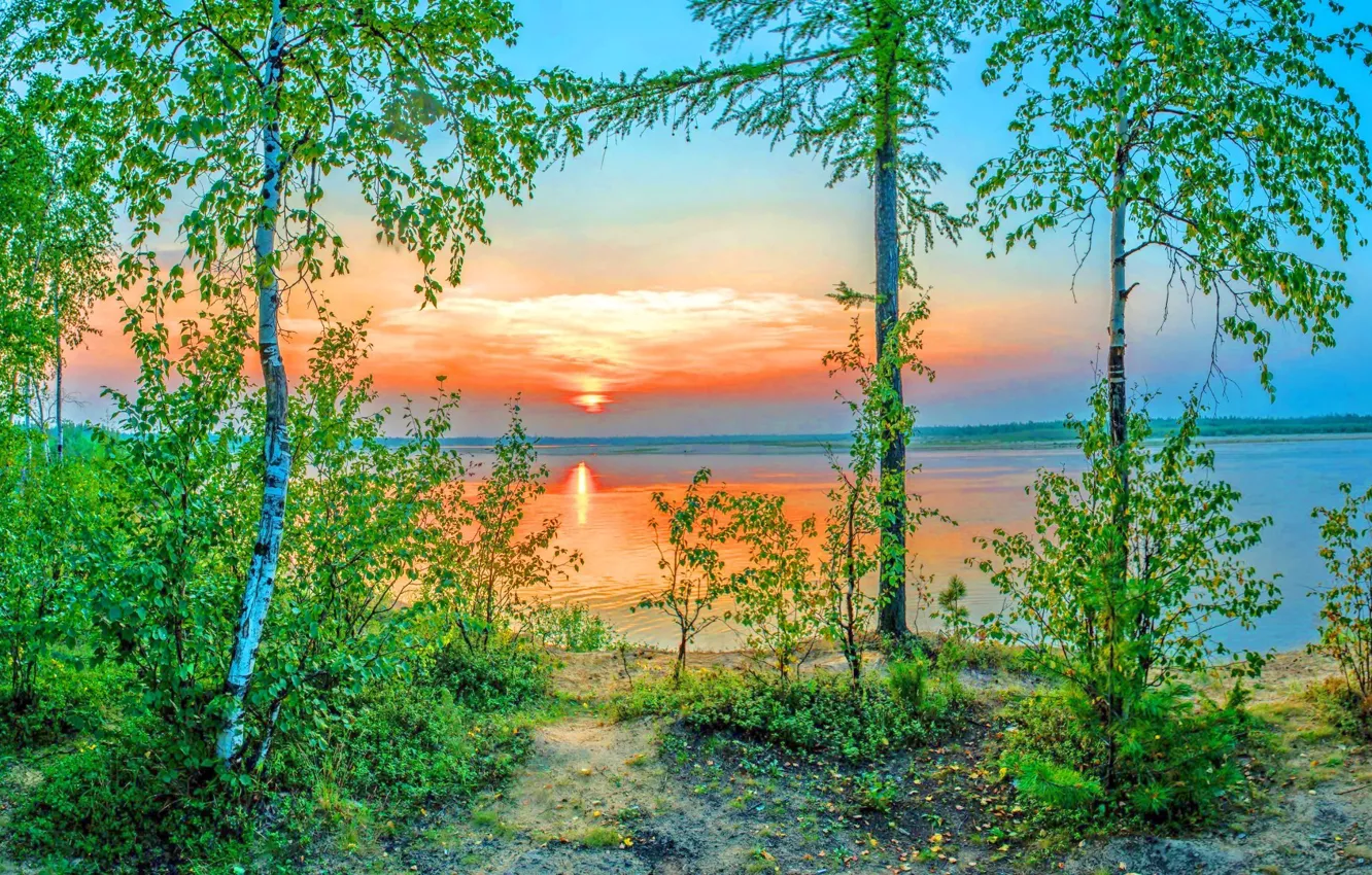 Photo wallpaper sunset, lake, shore, birch