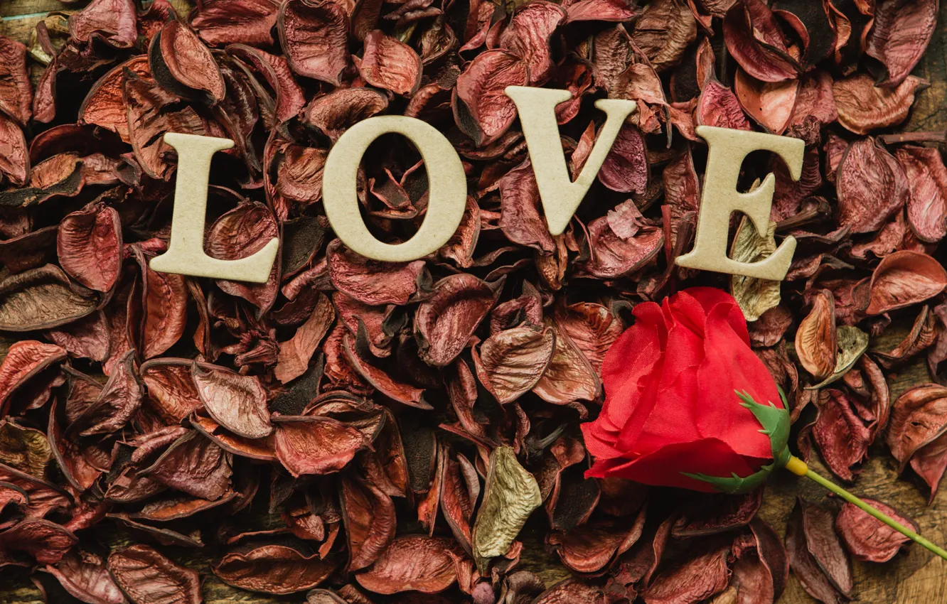 Photo wallpaper letters, holiday, rose, Valentine's day