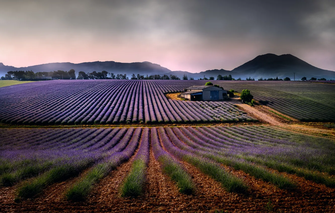 Photo wallpaper landscape, mountains, nature, house, field, lavender