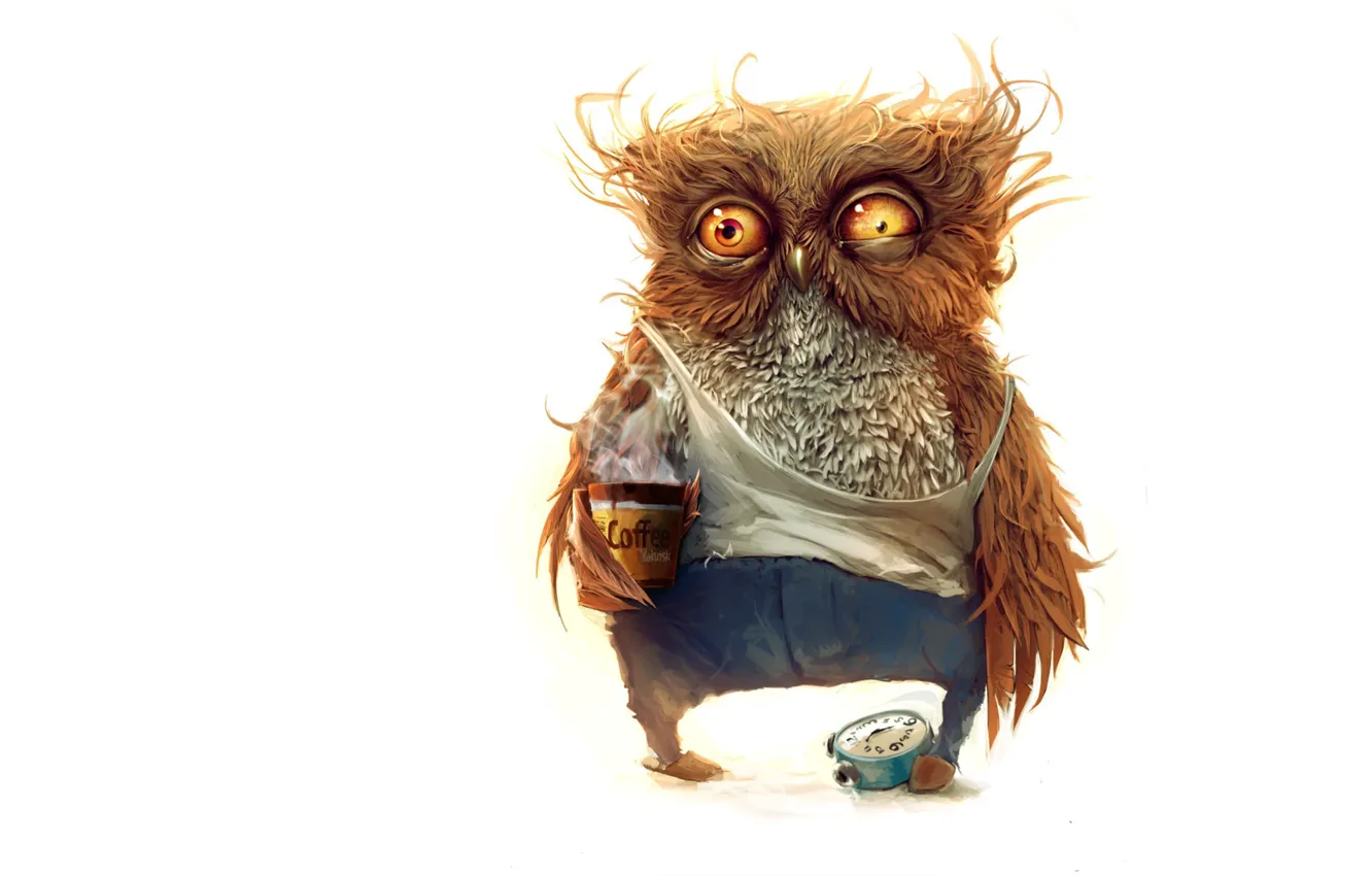 Photo wallpaper owl, - Hello good morning