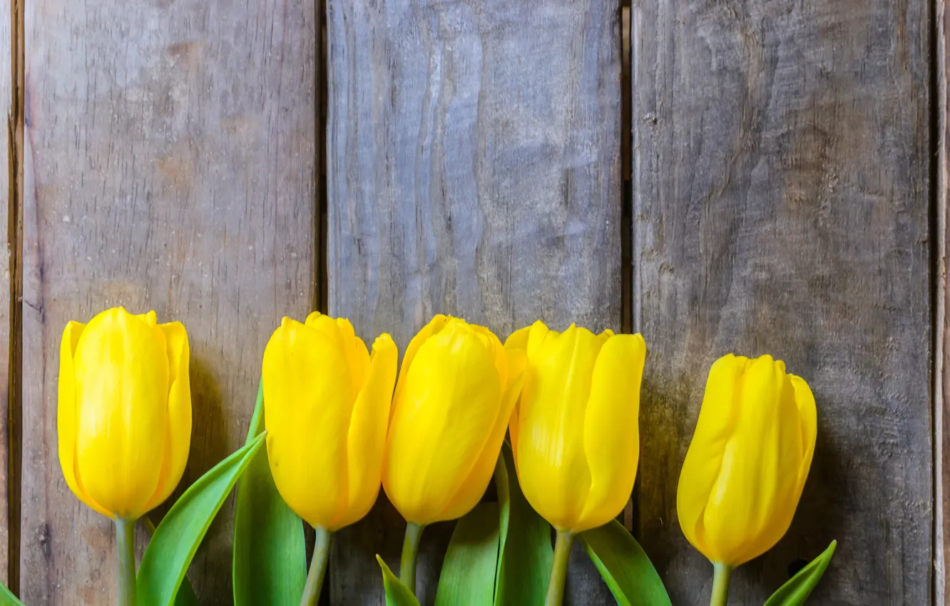 Photo wallpaper flowers, yellow, tulips, wooden background