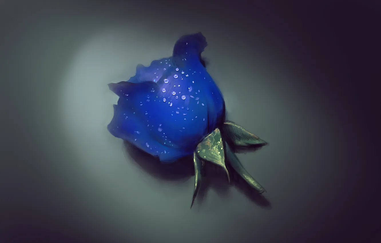 Photo wallpaper drops, flowers, art, blue rose