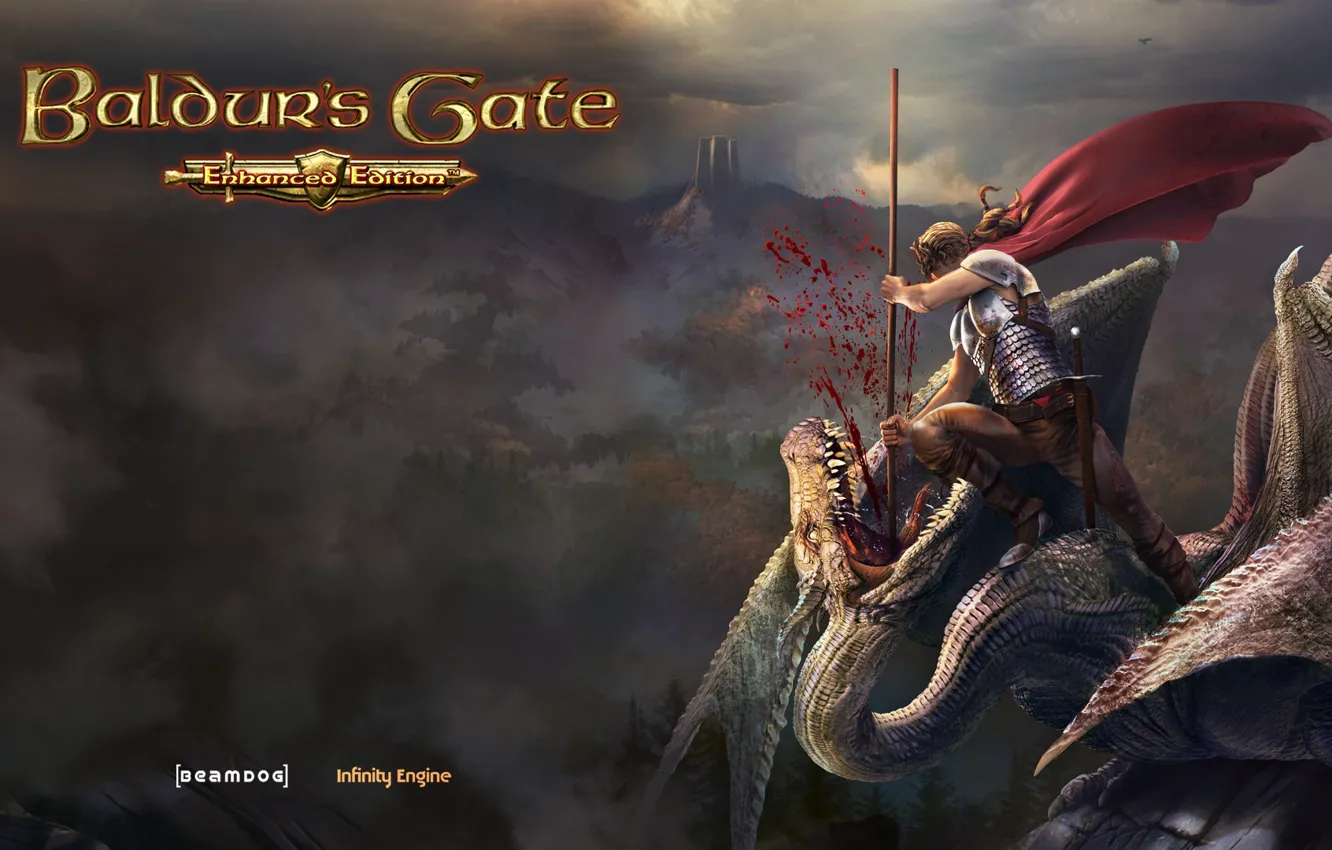 Photo wallpaper dragon, warrior, Baldur's Gate, Wyvern Slayer