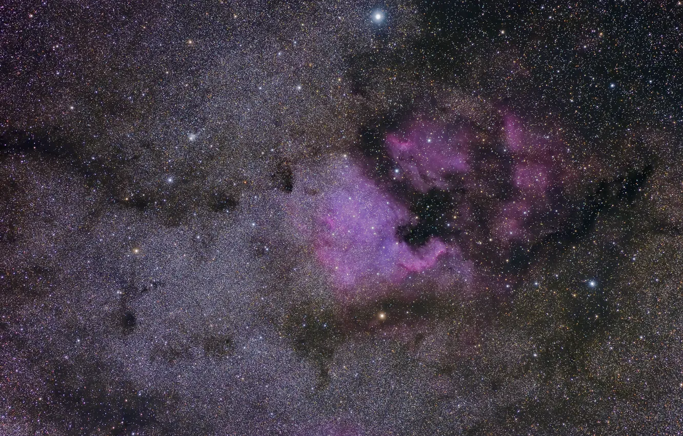 Photo wallpaper nebula, North American, NGC 7000