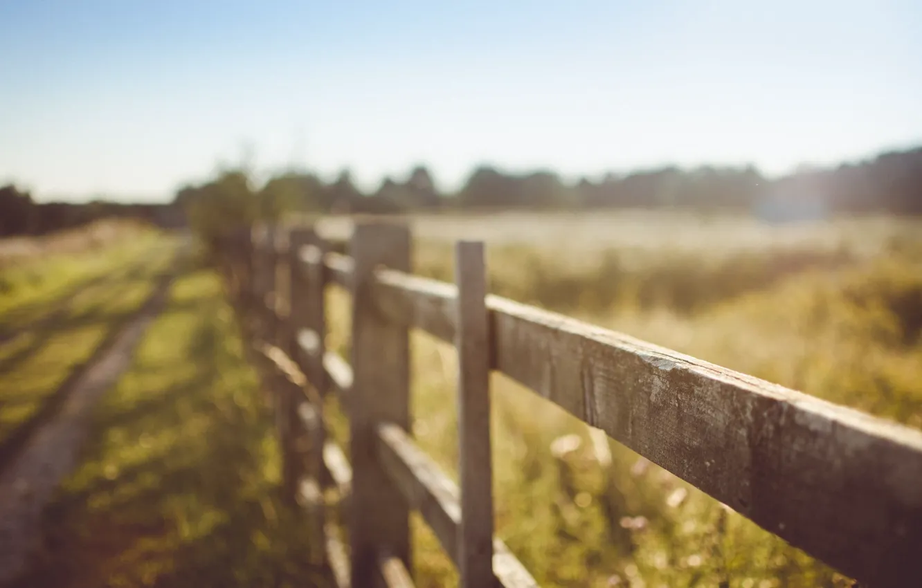 Photo wallpaper summer, the fence, fence