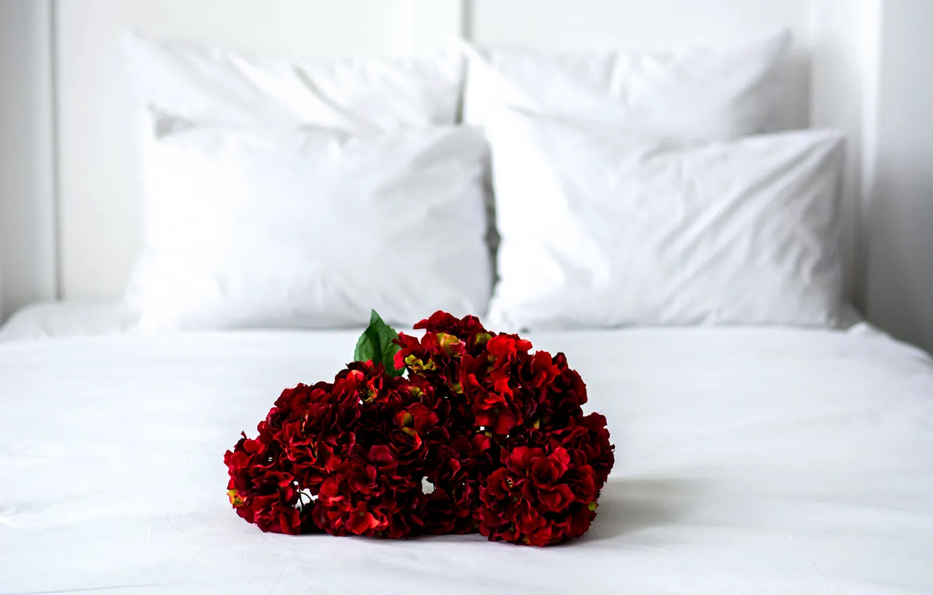 Photo wallpaper light, flowers, red, wall, box, gift, bed, interior