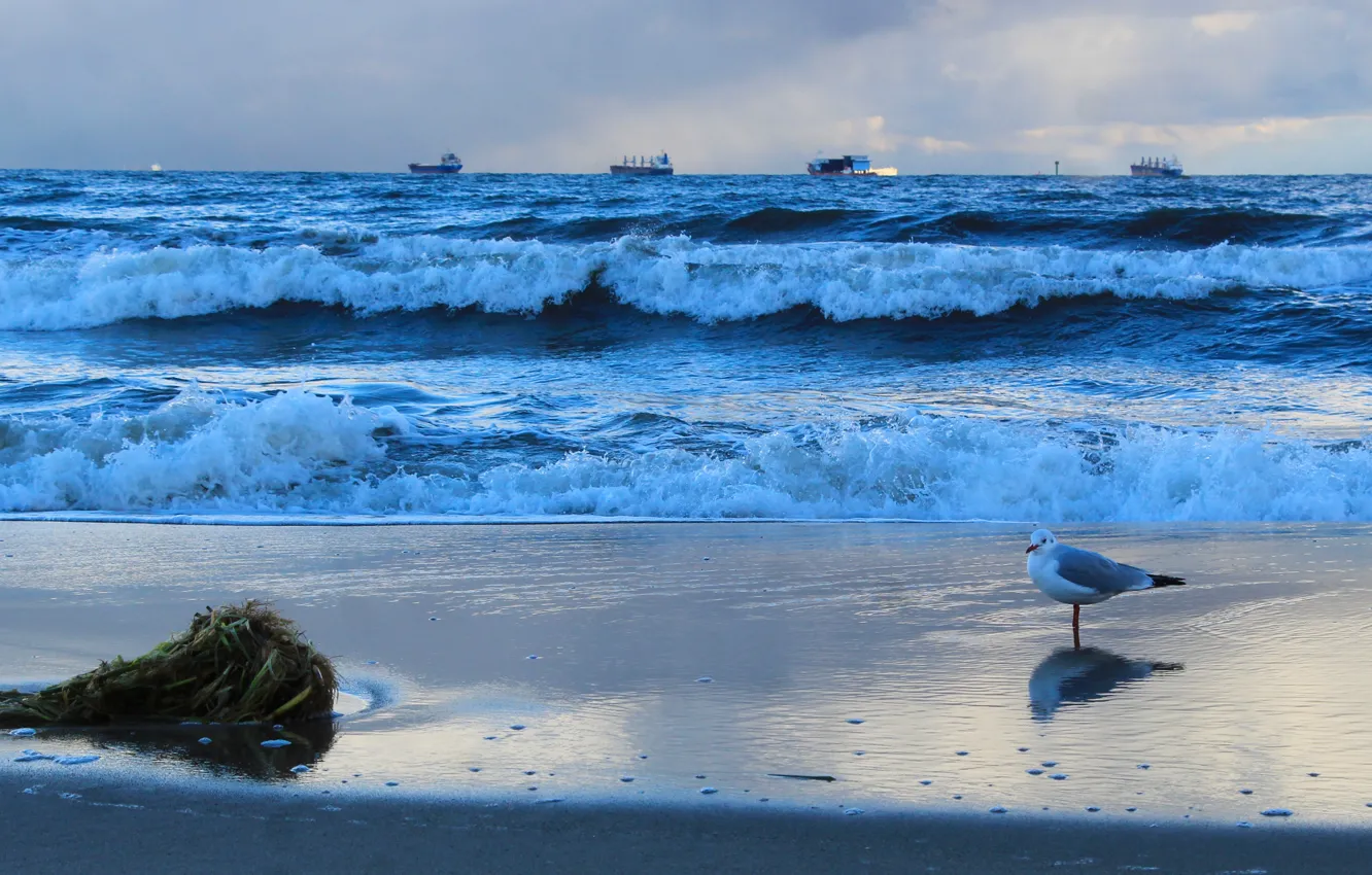 Photo wallpaper storm, sea, ocean, water, wave