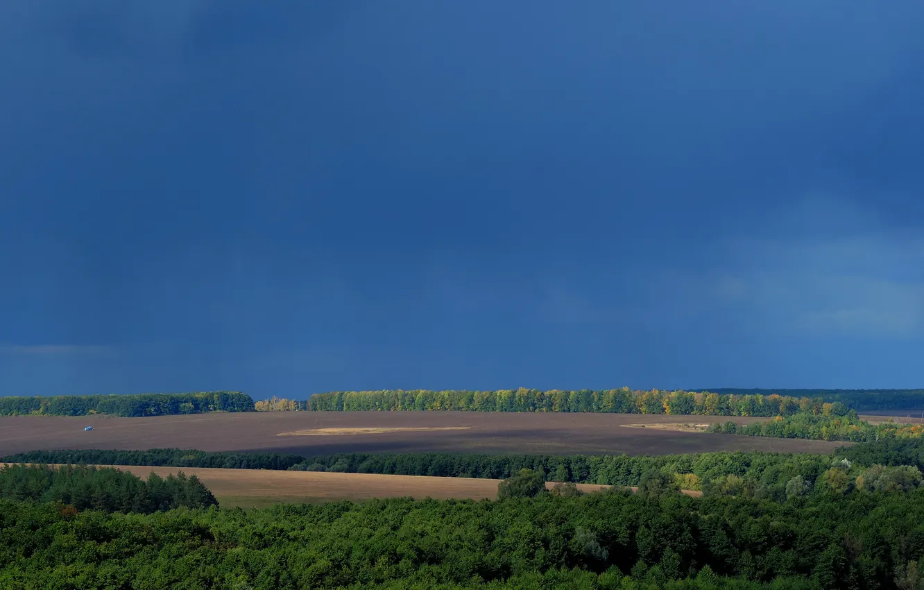 Photo wallpaper field, forest, summer, the sky, trees, nature, horizon, space