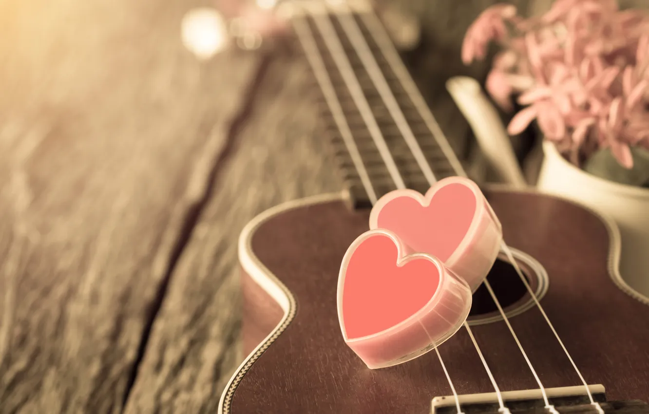 Photo wallpaper flowers, heart, guitar, love, vintage, heart, romantic