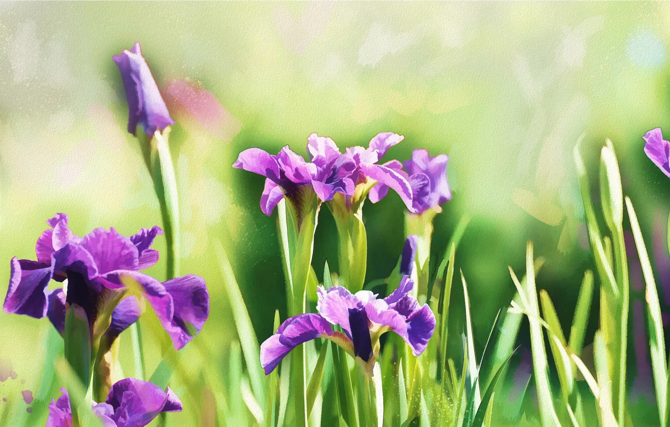 Photo wallpaper greens, flower, purple, flowers, green, background, figure, graphics