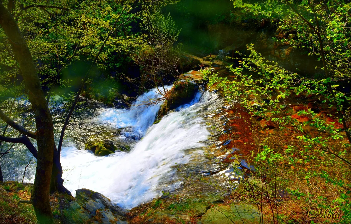 Photo wallpaper Waterfall, River, Forest, Waterfall, River, Forest