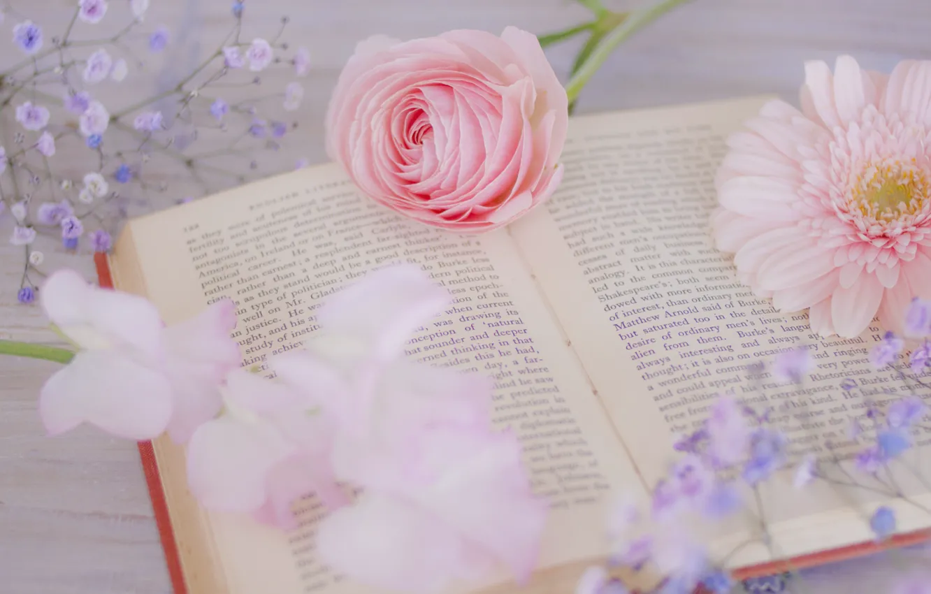 Photo wallpaper flowers, background, book
