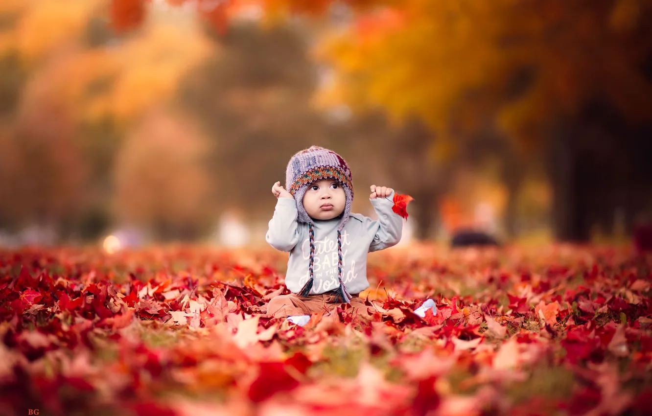Photo wallpaper autumn, leaves, nature, the game, baby