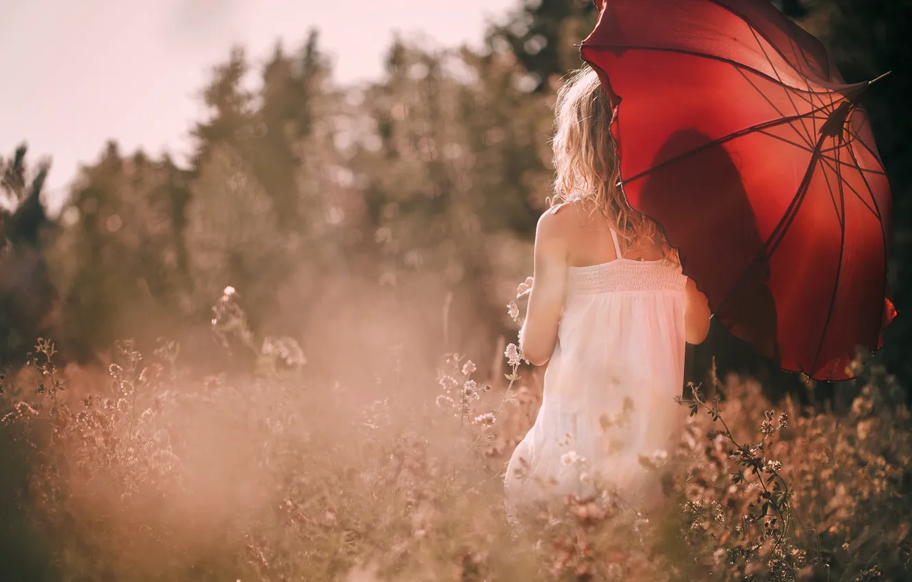 Photo wallpaper field, the sun, flowers, red, nature, umbrella, background, widescreen
