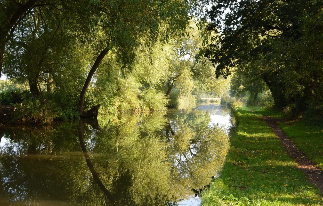 Photo wallpaper road, grass, Park, reflection, river, IVA