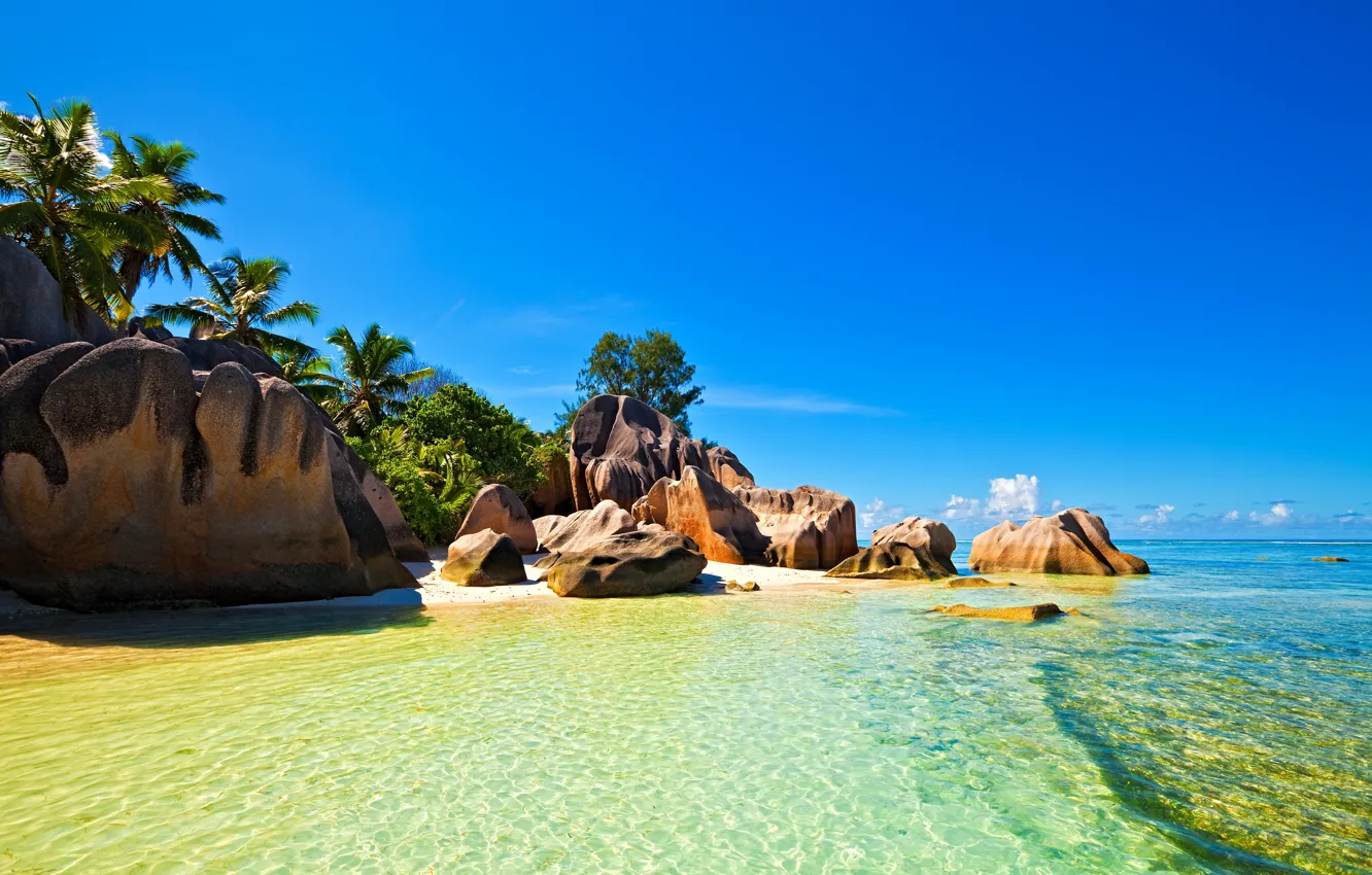 Photo wallpaper sea, the sky, tropics, stones, palm trees, the ocean, island, Seychelles