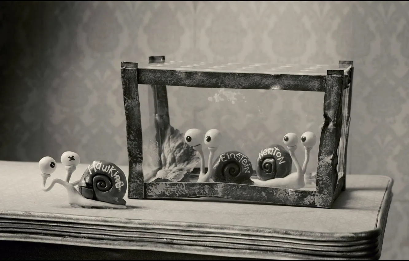 Photo wallpaper TABLE, EYES, CELL, BLACK AND WHITE FRAME, SNAILS, the names, scientists