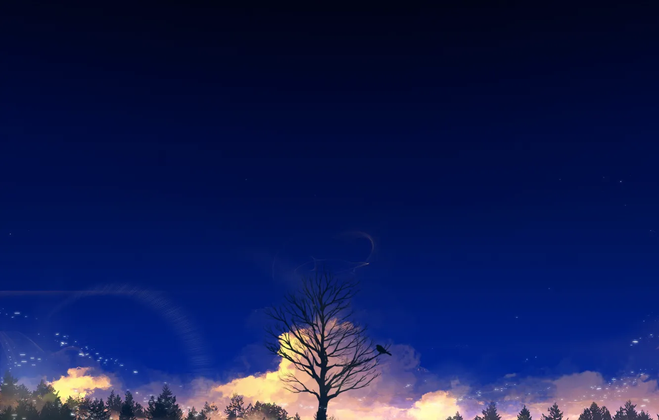 Photo wallpaper the sky, trees, nature, bird, Y_Y