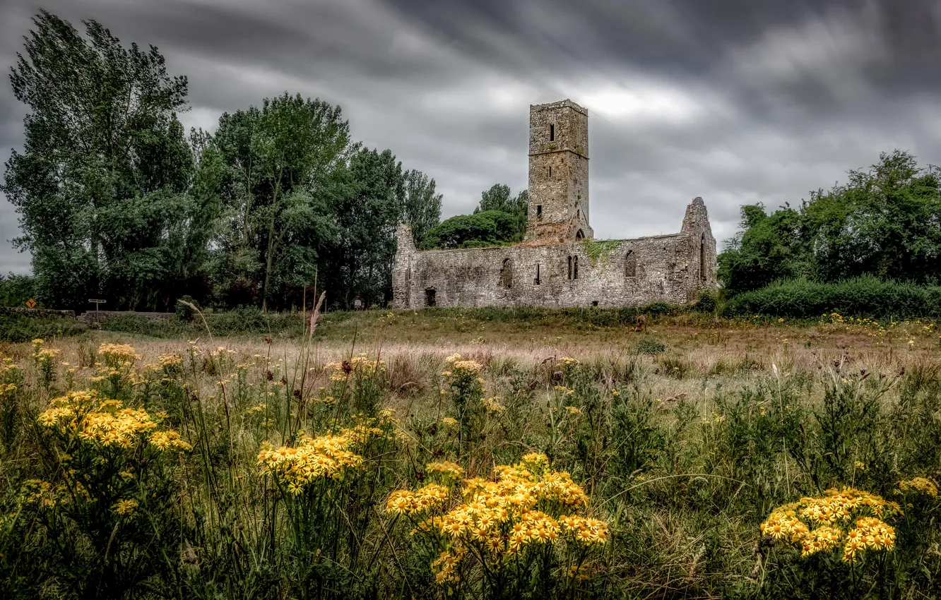 Photo wallpaper field, grass, trees, flowers, clouds, castle, glade, yellow
