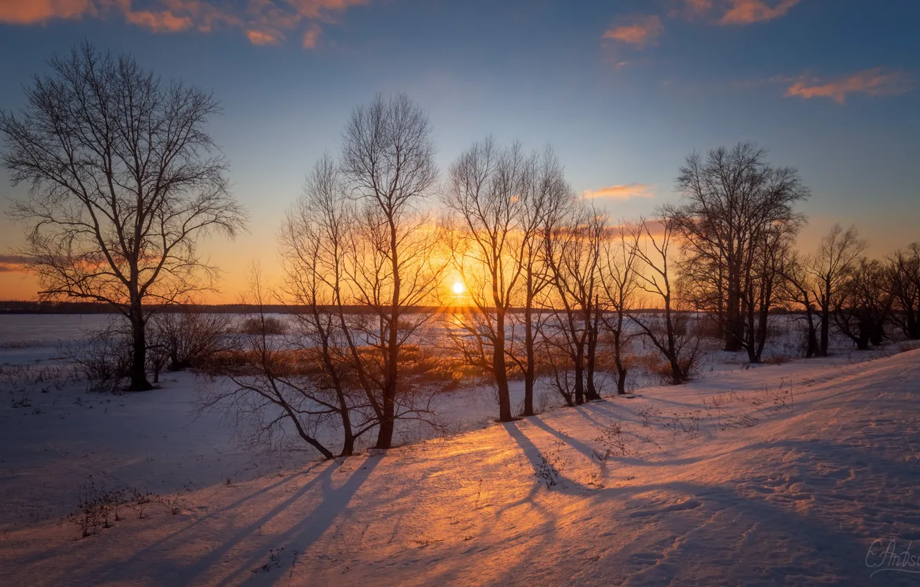 Photo wallpaper sunset, winter, snow, Antson Elvis