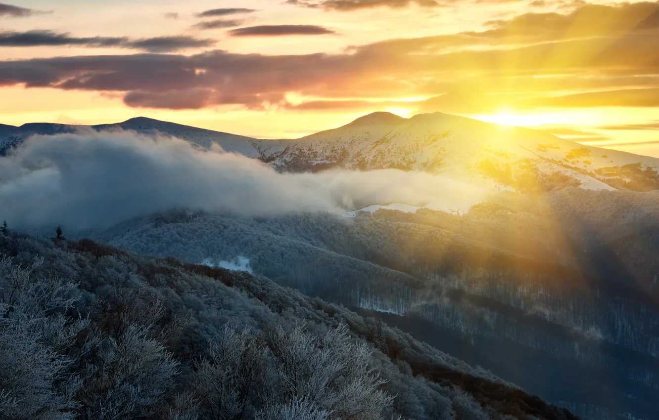 Photo wallpaper winter, forest, the sun, clouds, rays, snow, trees, mountains