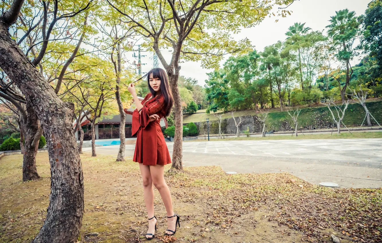 Photo wallpaper girl, trees, dress, legs, Asian