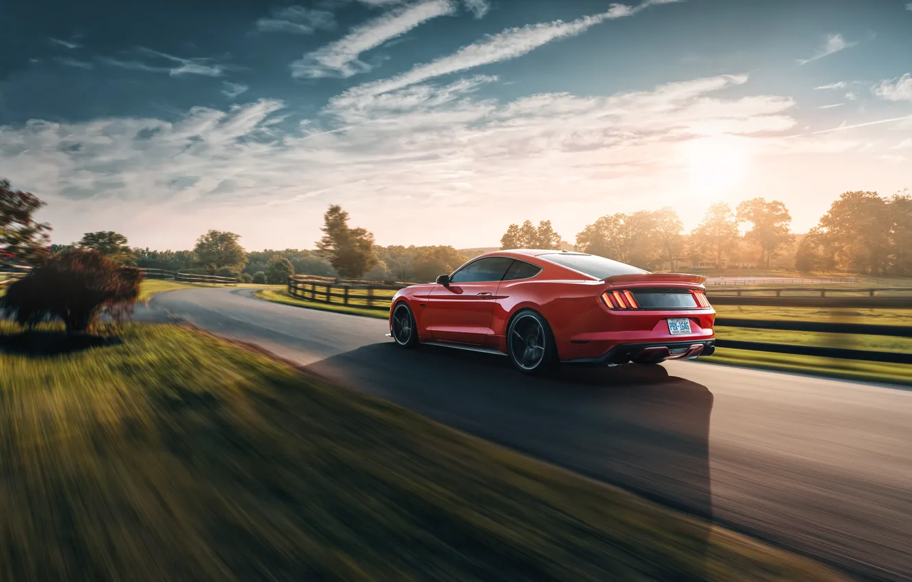Photo wallpaper speed, Mustang, Ford, 2018, Mustang GT, by Jimmy Zhang